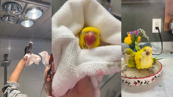 حان وقت جلسة السبا اللطيفة! تفضّل تفسح المجال، من فضلك.