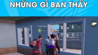 chắc gì là sự thật