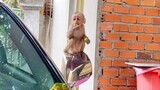Little Princes Maya Love To Play On The Car Than Much The Tree, Cute Baby Monkey Maya Happy Eating