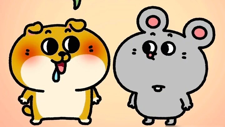 A brief introduction to rats and friends