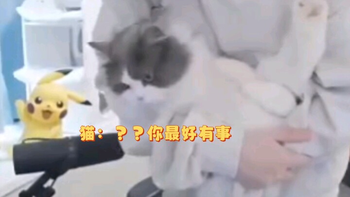 【Gemini】A kitty suddenly bursts into the room—Mini-chan is so gentle and sweet with it, so adorable!