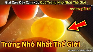 Giải cứu Quả Trứng Bí Ẩn Nhỏ Nhất Thế Giới bị bỏ rơi và cái kết || Review Giải Trí Đời Sống