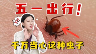 Hati-hati dengan "titik hitam kecil" ini saat bepergian, jika serius bisa berakibat fatal!