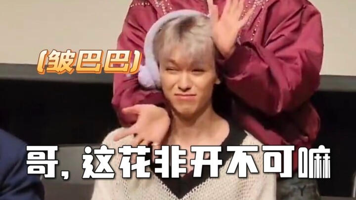 ดูเขาเต้นชา ความฮา 100% พอได้ยินเพลงประกอบ ความฮาพุ่งไป 1,000,000% เลย