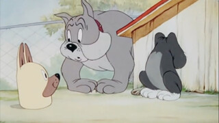 The dog brother was shocked and his head and body were separated