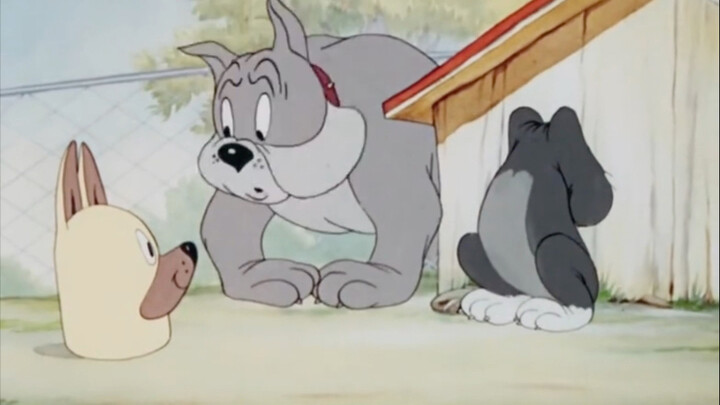 The dog brother was shocked and his head and body were separated