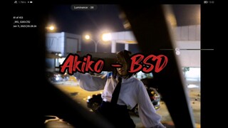 Touch-up | Akiko - Bungou Start Dog