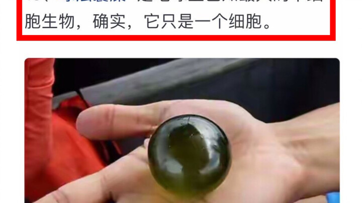 Those Fascinating Historical Photos