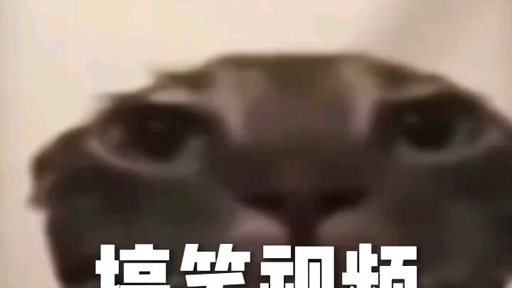 أعمال الخير اليومية