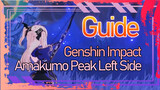Genshin Impact - Amakumo Peak Left Side - Guide