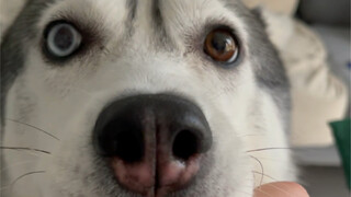 Let's start with me to reject appearance anxiety