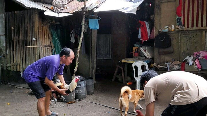 bitaw ng panlaban