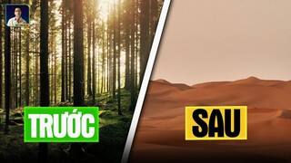 SA MẠC SAHARA TỪNG LÀ MỘT KHU RỪNG?