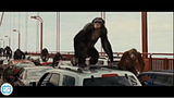 Bầy Khỉ Cuồng Nộ - Apes Vs Humans - Rise Of the Plannet of the Apes (2011) movie #filmhay
