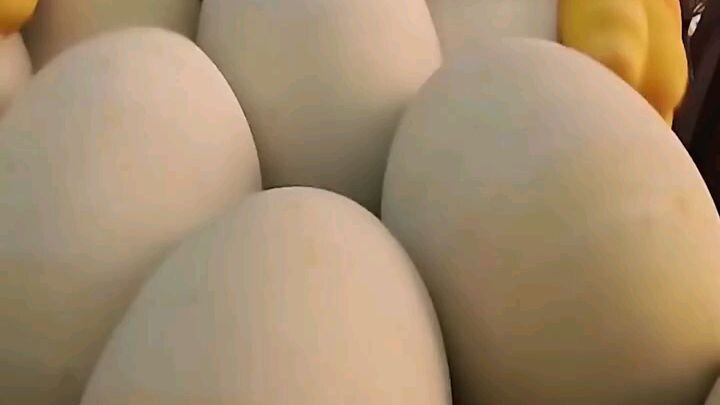 ước mơ bé nhỏ