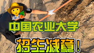 《มหาวิทยาลัยเกษตรศาสตร์จีน》《วิชาทำนา》《4 หน่วยกิต》เพื่อนเอ๋ย ถ้าไม่ไหวจริงๆ ก็มาเรียนที่มหาวิทยาลัยเก