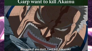 Garp wants to kill Akainu