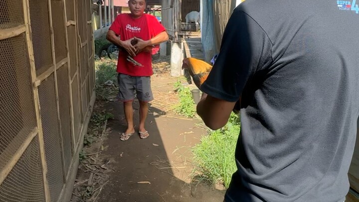 Unang sayaw nila 🐓🐓