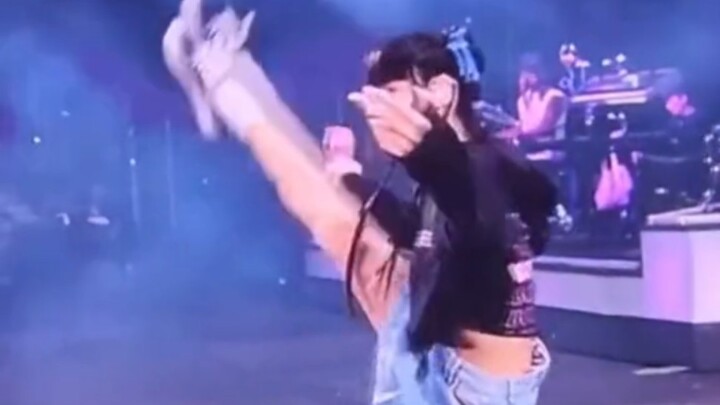 I have to say, Lisa truly lives up to her reputation as the lead dancer—her kicks are so effortless!