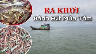 Nghề biển - Đánh bắt tôm được mùa | Ngư Dân Miền Tây