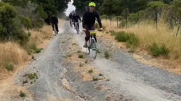 🚲🚲
