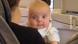 网友们遇到的可爱崽崽😍