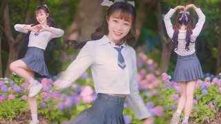 王心凌-爱你❤夏天是属于元气少女的季节【小楼】