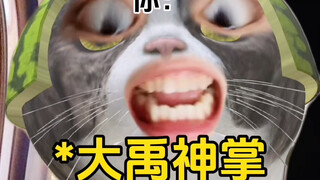 《司机绕路》