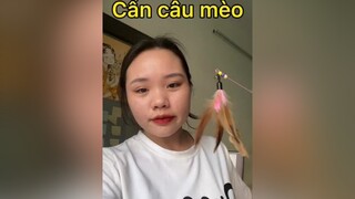 Cần câu mèo mèo chơi quên lối về 🤣🤣🤣 meo meow meomeo meohay cancaumeo