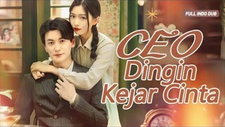 CEO dingin kejar cinta