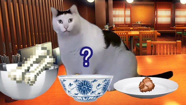 Why don't people in the South eat with plates? | Cat meme