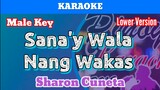 Sana'y Wala Nang Wakas by Sharon Cuneta (Karaoke  Male Key  Lower Version)
