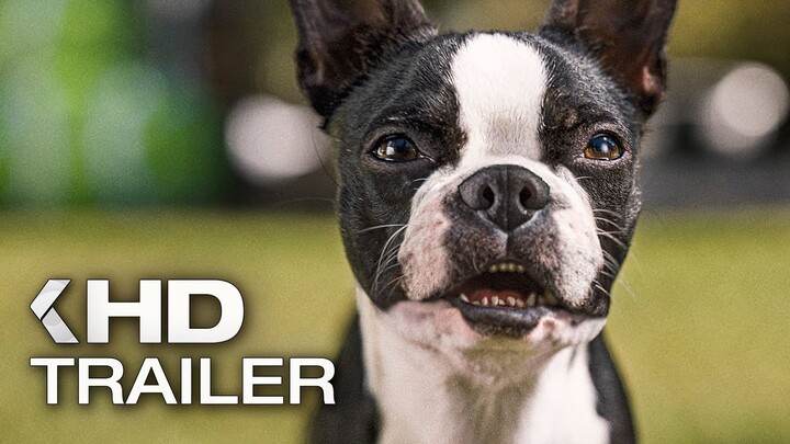 DOGGY STYLE Trailer German Deutsch (2023)
