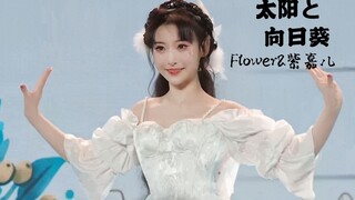 白月光降临！Flower《太阳と向日葵》BW舞台人生直拍【紫嘉儿】