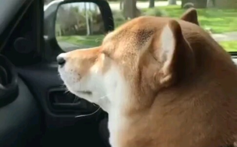 I have a video of you listening to the song