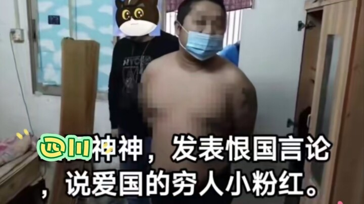 Thì ra trong thực tế, chú mực thần của chúng ta lại có dáng vẻ như thế này!