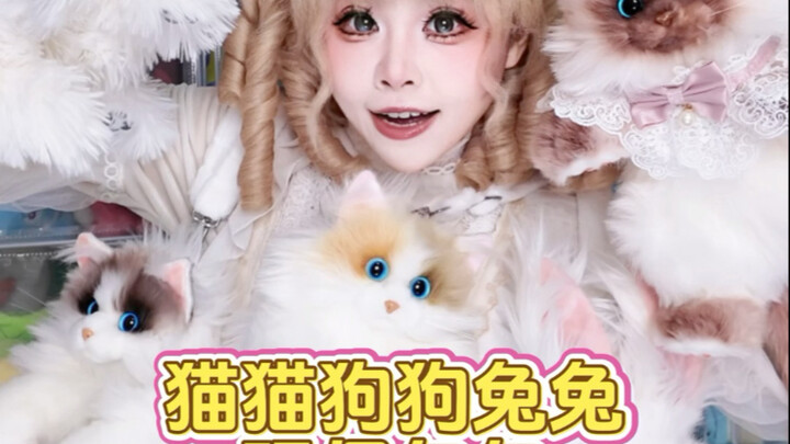 Đây là mèo thật hay mèo giả vậy? Những chiếc túi hình thú cưng mèo, chó, thỏ siêu dễ thương!