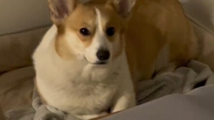 You’re just gonna ignore this?