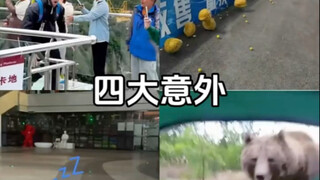 四大意外