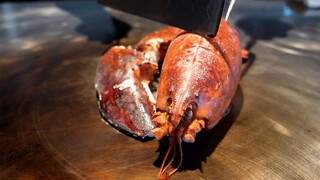 Giant Lobster Teppanyaki - Gourmet Food in Gangnam