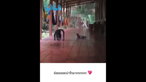 น้อนนนนน 🥺🥺 . หากคุณชื่นชอบคลิปตลก bilibili รวมไว้ให้คุณหมดแล้ว ดาวน์โหลดเลย!