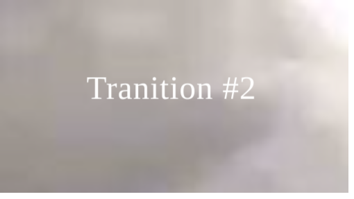 Transition Day #2