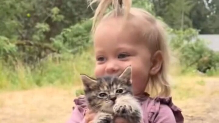 Orang yang dipilih kucing jalanan pasti sangat bahagia, ya?