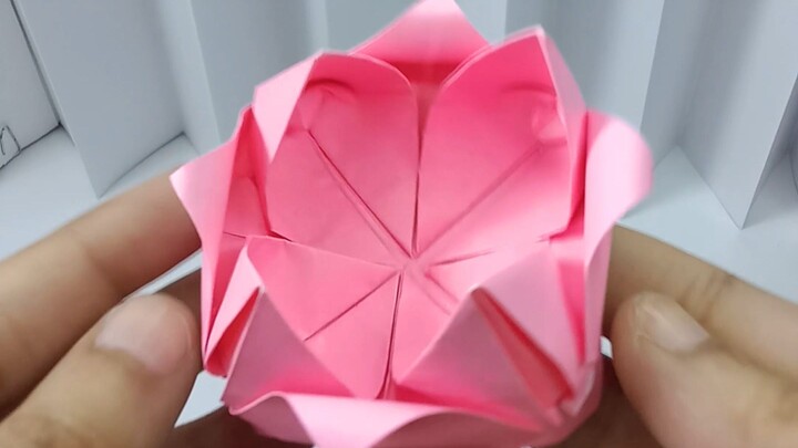 What if beauty is just patience in disguise? 🌸