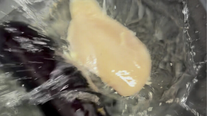 水煮菜难吃吗，那是你煮的方法不对