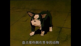 盘点jojo中的动物替身使者