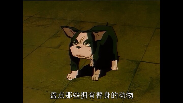 盘点jojo中的动物替身使者