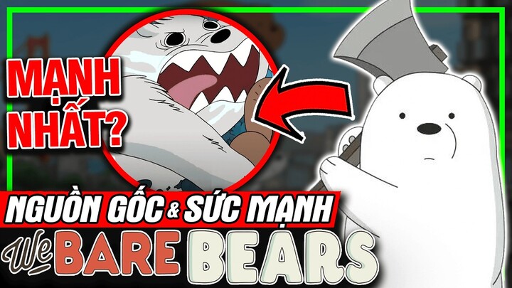 WE BARE BEARS: Nguồn Gốc & Sức Mạnh Của 3 Chú Gấu | Top Sự Thật | meXINE