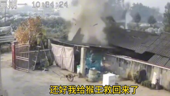 Septic tank explosion, the Monkey King is born! [Electronic Wooden Fish]