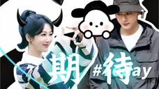 【晚紫】杨紫说要邀请长相思的四位 ,张晚意你快答应她,快点快点!